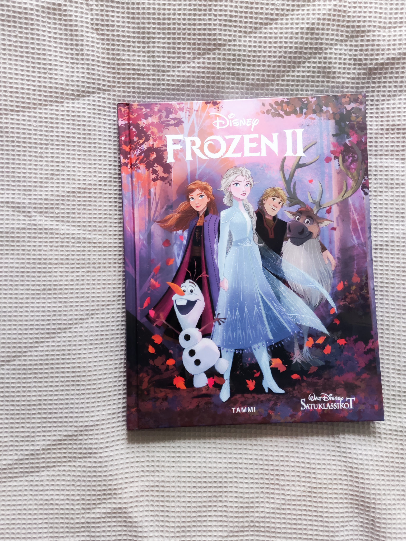 Frozen II satukirja - Kirppislöydöt - BMH - Big mamas home by JEnni