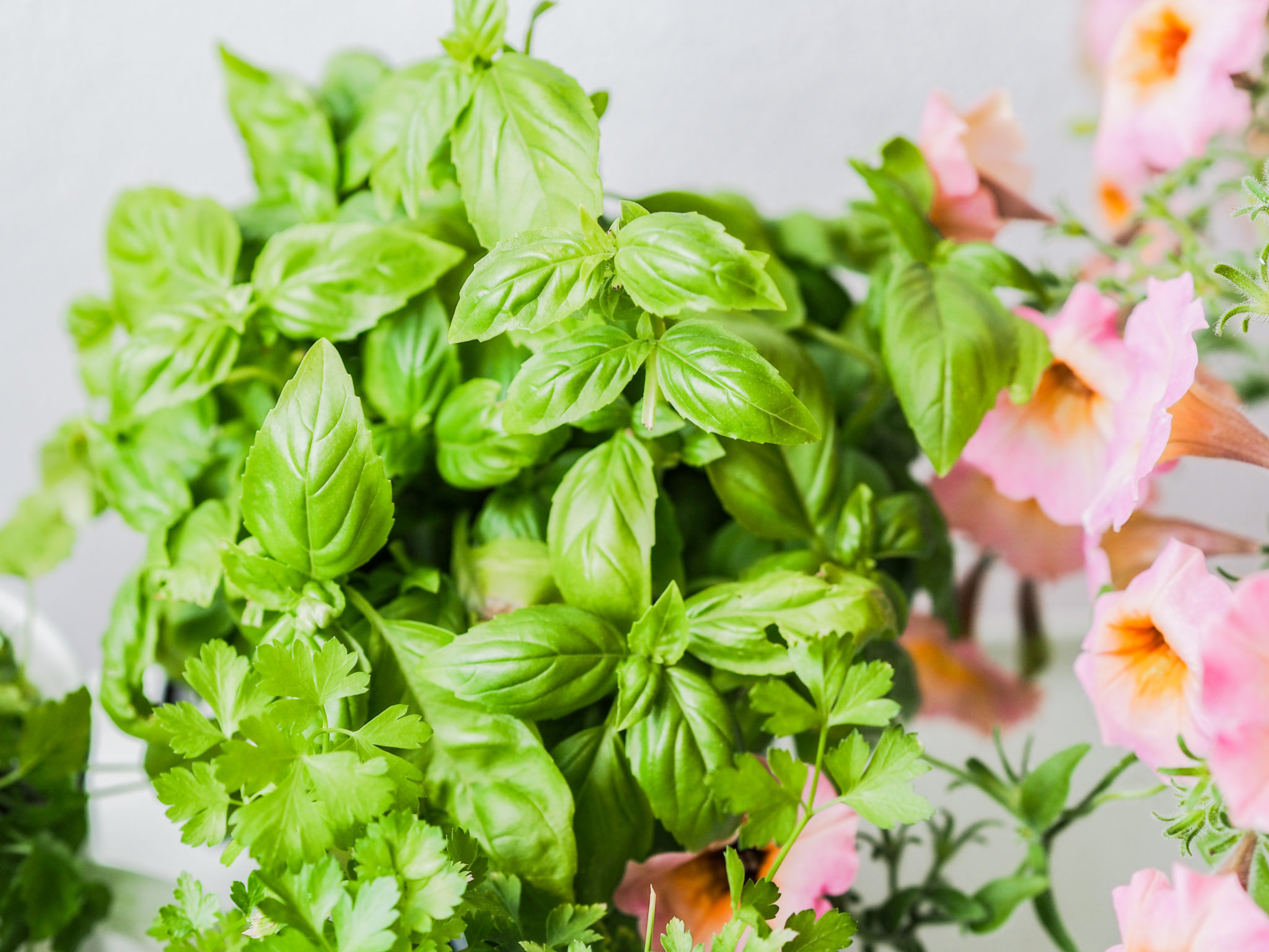 Pieni parveke - BMH - Big mamas home by Jenni